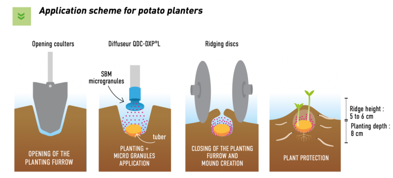 Potato and vegetable crops – Kits-sav.com – SBM crop protection